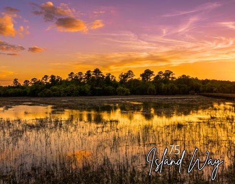 75 Island Way Seabrook SC 29940