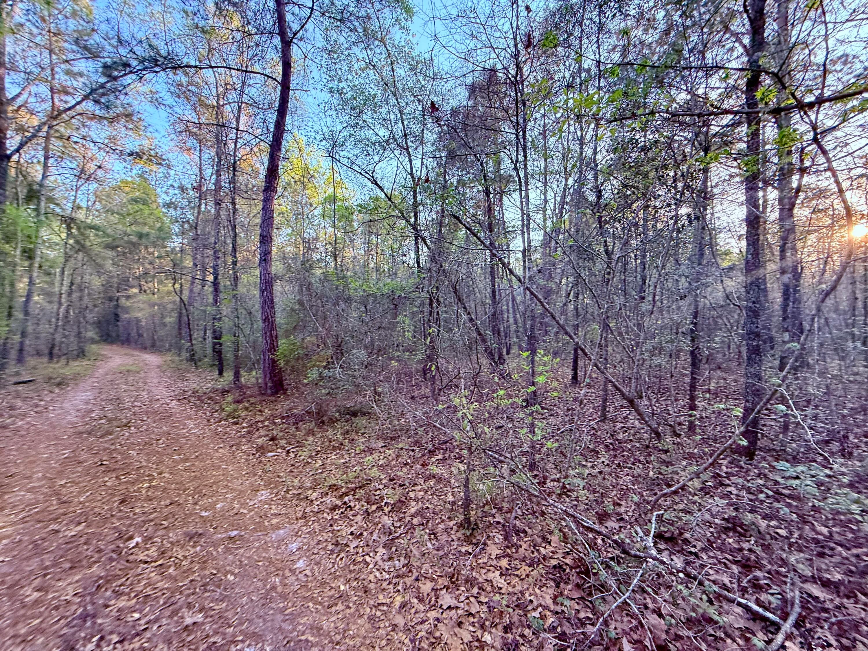 430 Weenee Road, Jamestown, SC, 29453