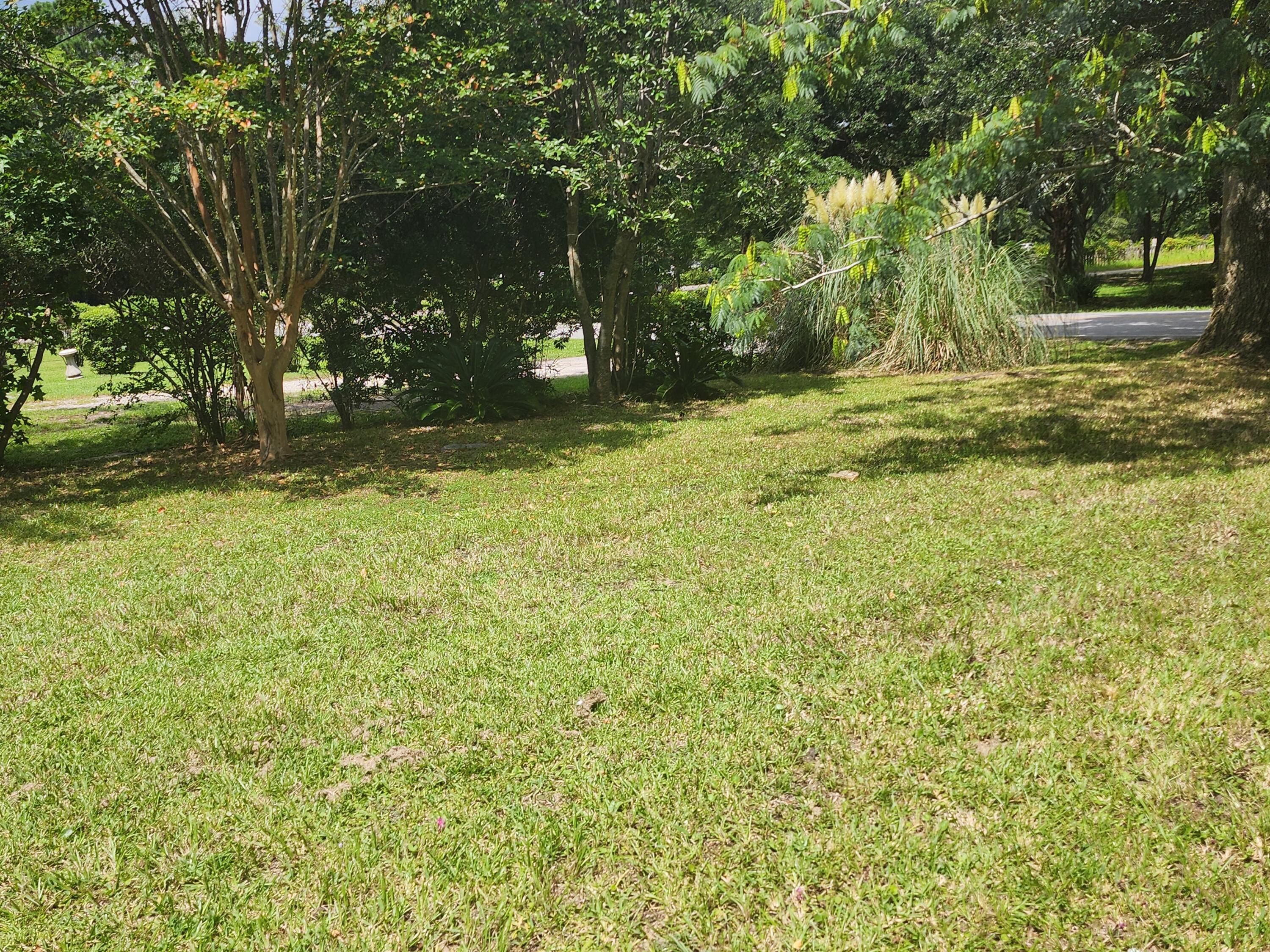 1132 Brownswood Road