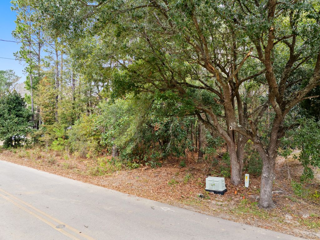 Photo of 521 Hill Street, Moncks Corner, SC 29461 (MLS # 25031724)