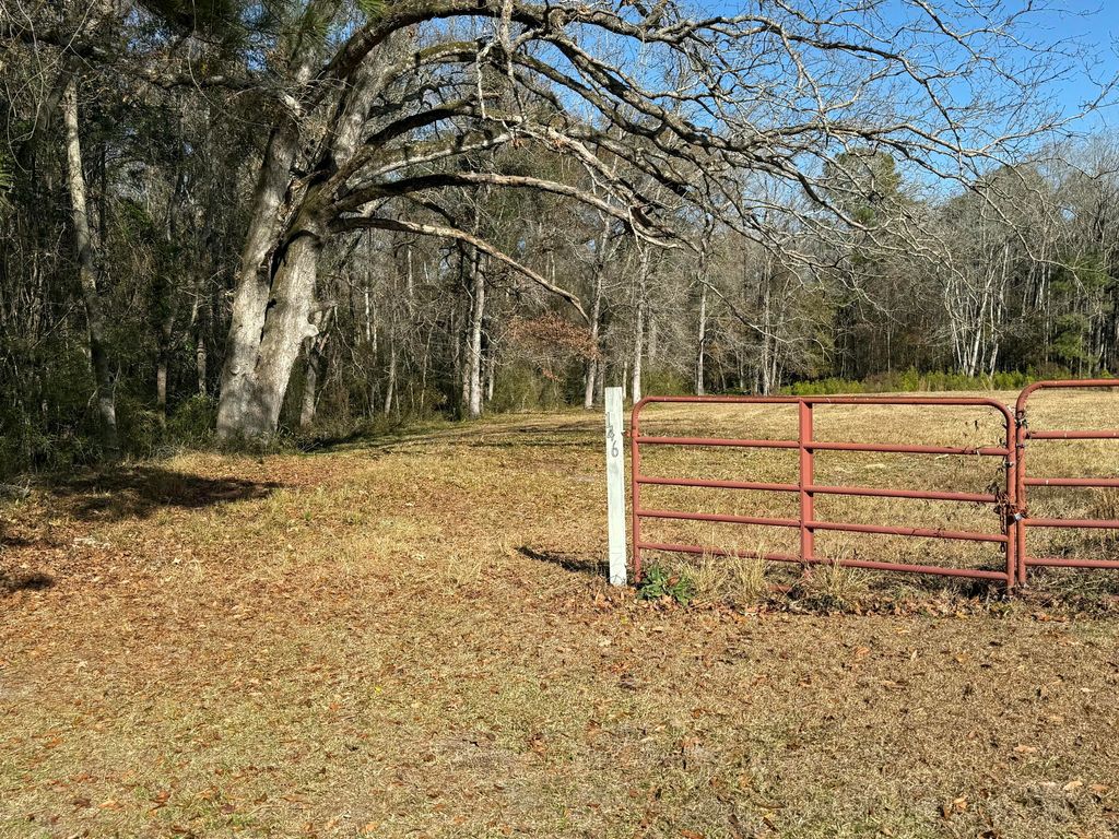 Photo of 0 Cameron Drive, Ridgeville, SC 29472 (MLS # 25033223)