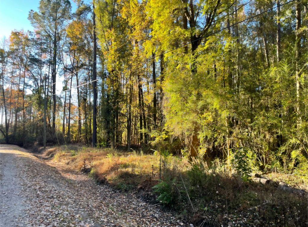 Photo of 0 Dig It Rd, Summerville, SC 29483 (MLS # 25030748)