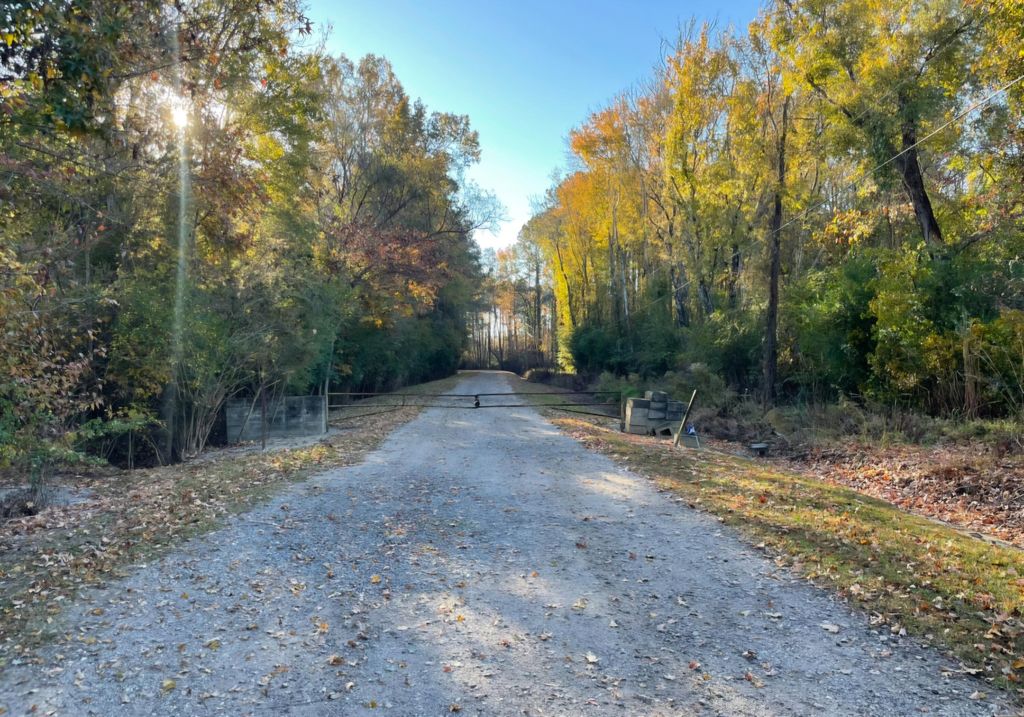 Photo of 0 Dig It Rd, Summerville, SC 29483 (MLS # 25030748)