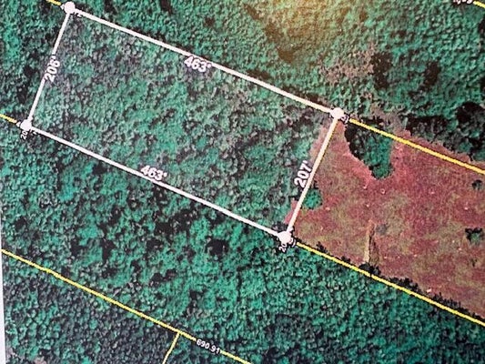 0 YOUNGS ROAD, EUTAWVILLE, SC 29048 - Image 5d0bd8ae052e2ec69e9d277ccb4edd2c/3323912376