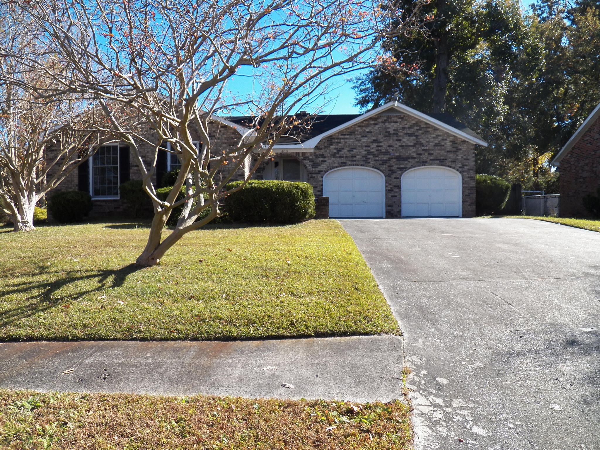 408 Bristlecone Drive