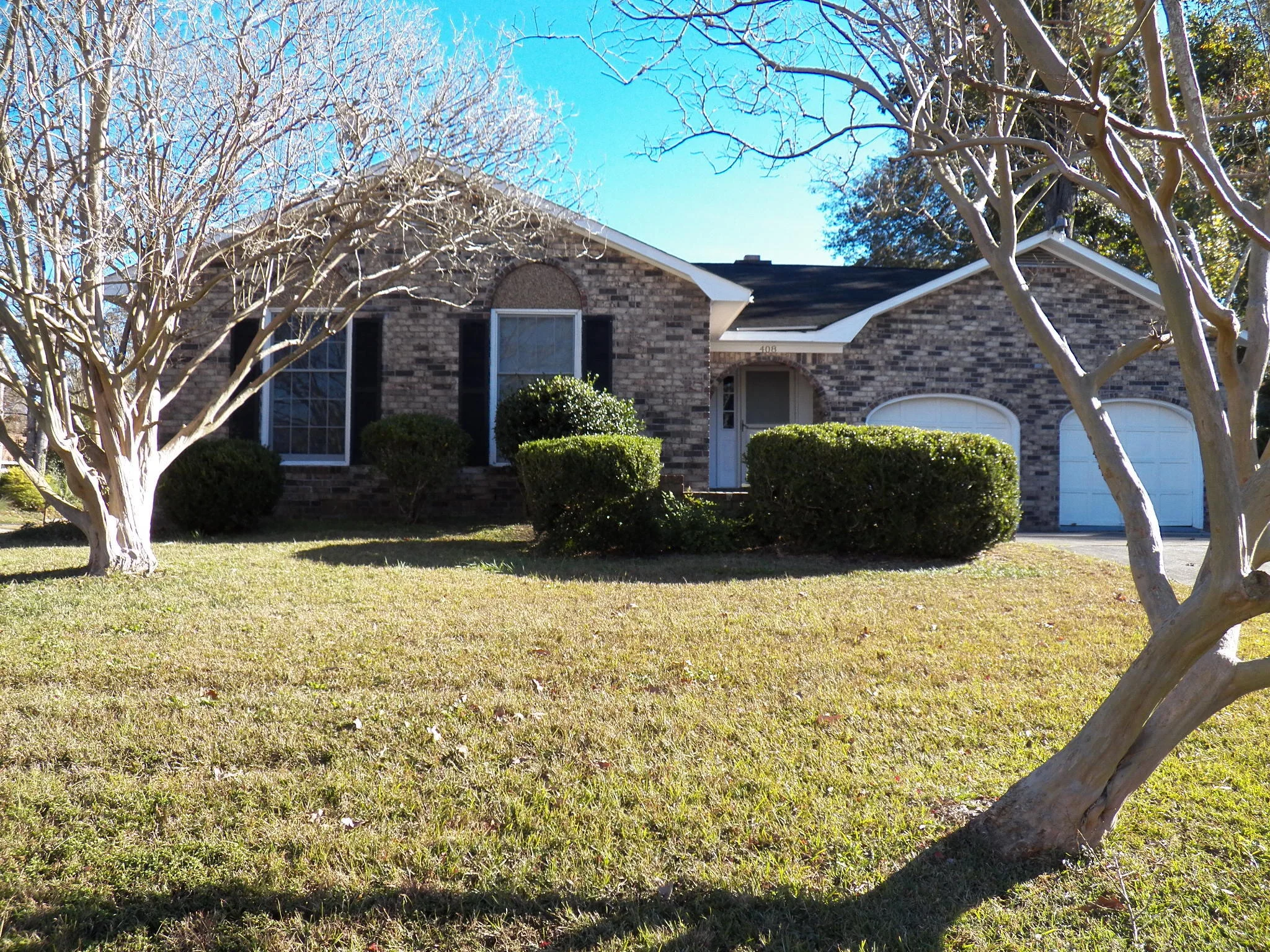 408 Bristlecone Drive