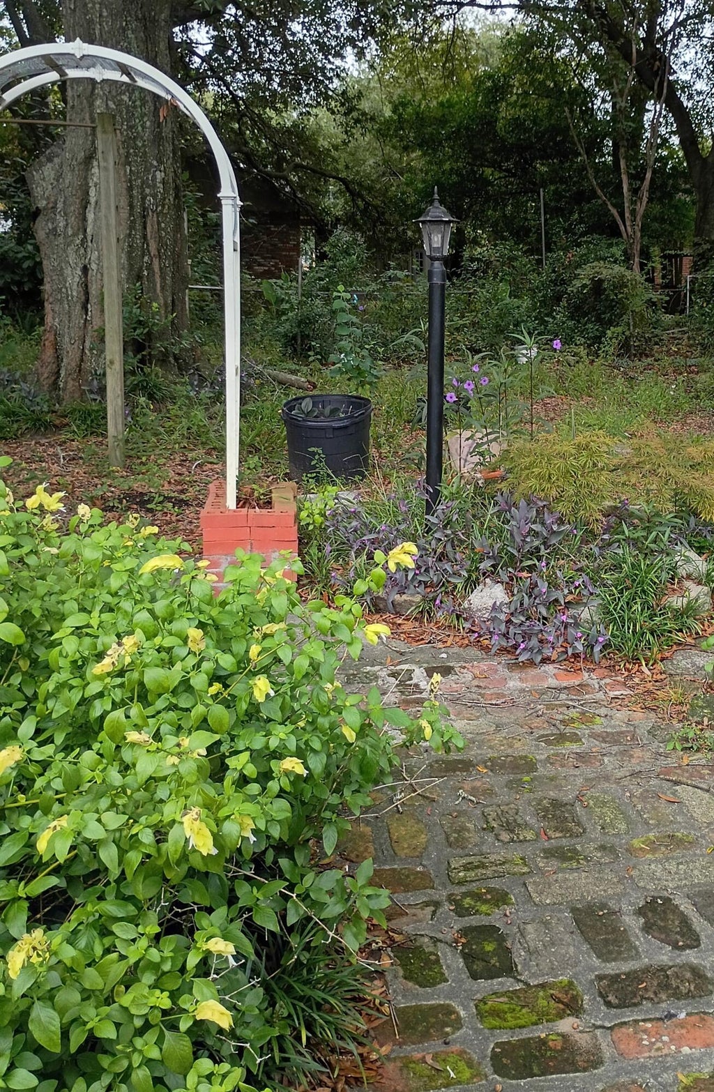 Photo of 3855 Hottinger Avenue, North Charleston, SC 29405 (MLS # 26026870)