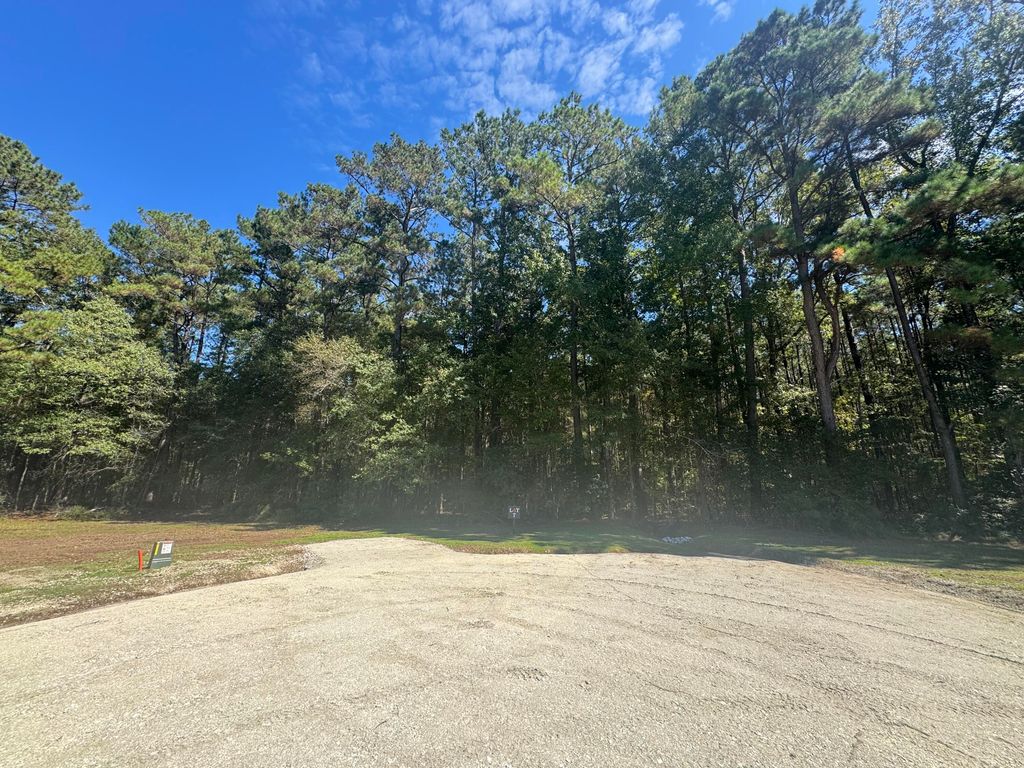 Photo of 0 Jedburg Road #7, Summerville, SC 29486 (MLS # 25020281)