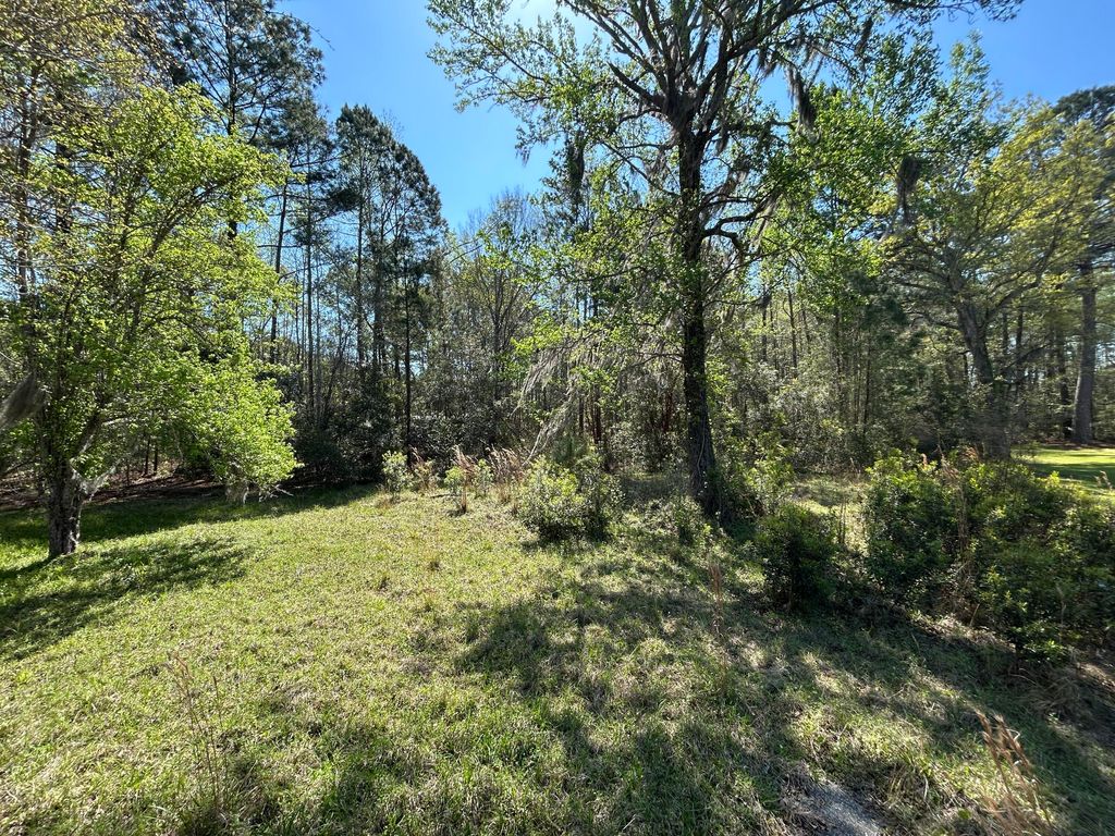 Photo of 5795 Dixie Plantation Road, Hollywood, SC 29449 (MLS # 26008794)
