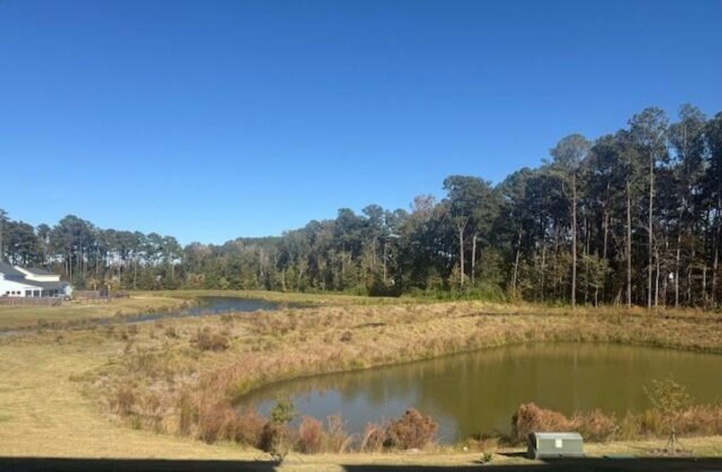 Photo of 596 Scholar Way, Summerville, SC 29486 (MLS # 26000770)