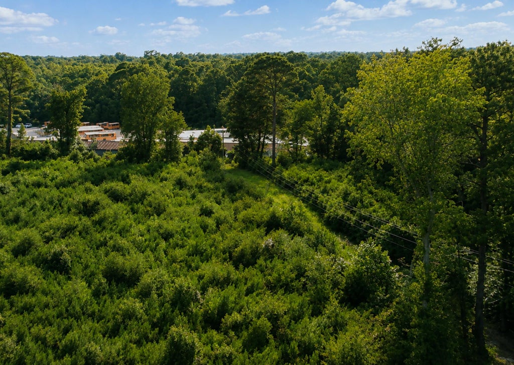 Photo of 00 Whitesville Road, Moncks Corner, SC 29461 (MLS # 26021353)