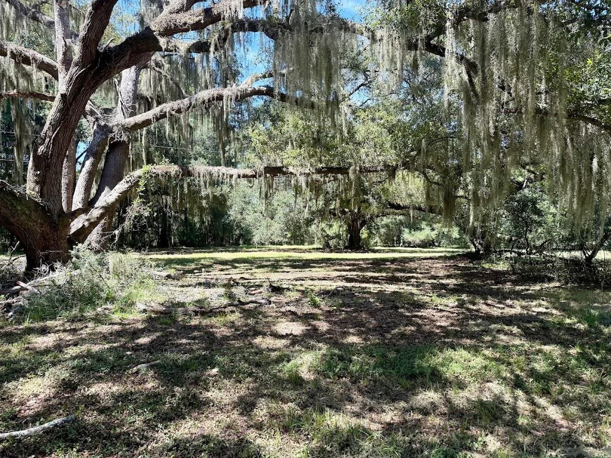 7817 Little Britton Road (c-1-c) Rd, Meggett, SC, 29449