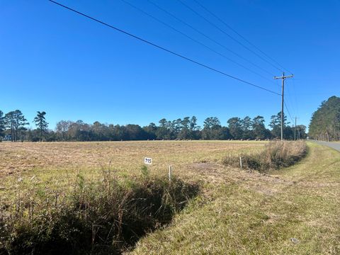 715 Nunuville Road Walterboro SC 29488