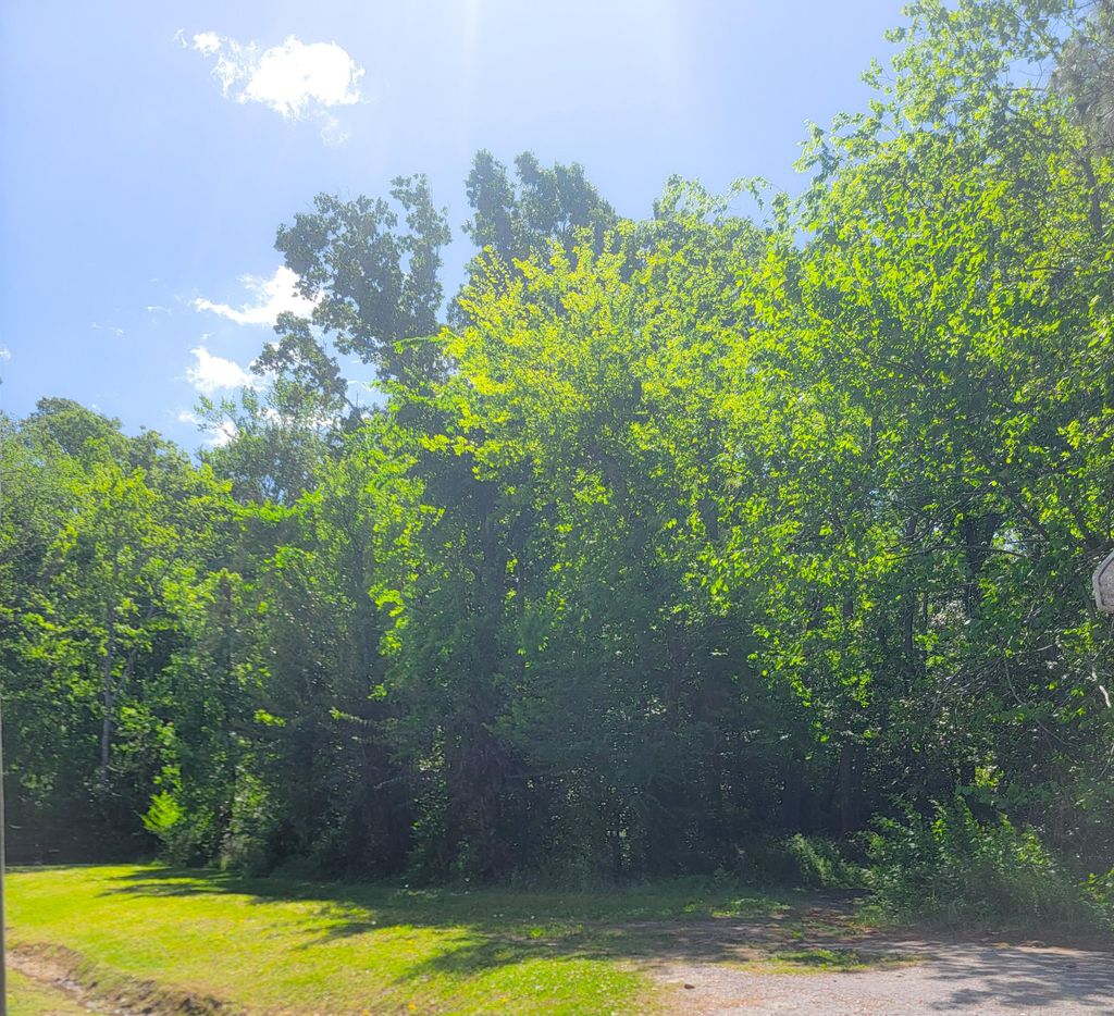 Photo of 0 Singletary Avenue, Moncks Corner, SC 29461 (MLS # 25019891)