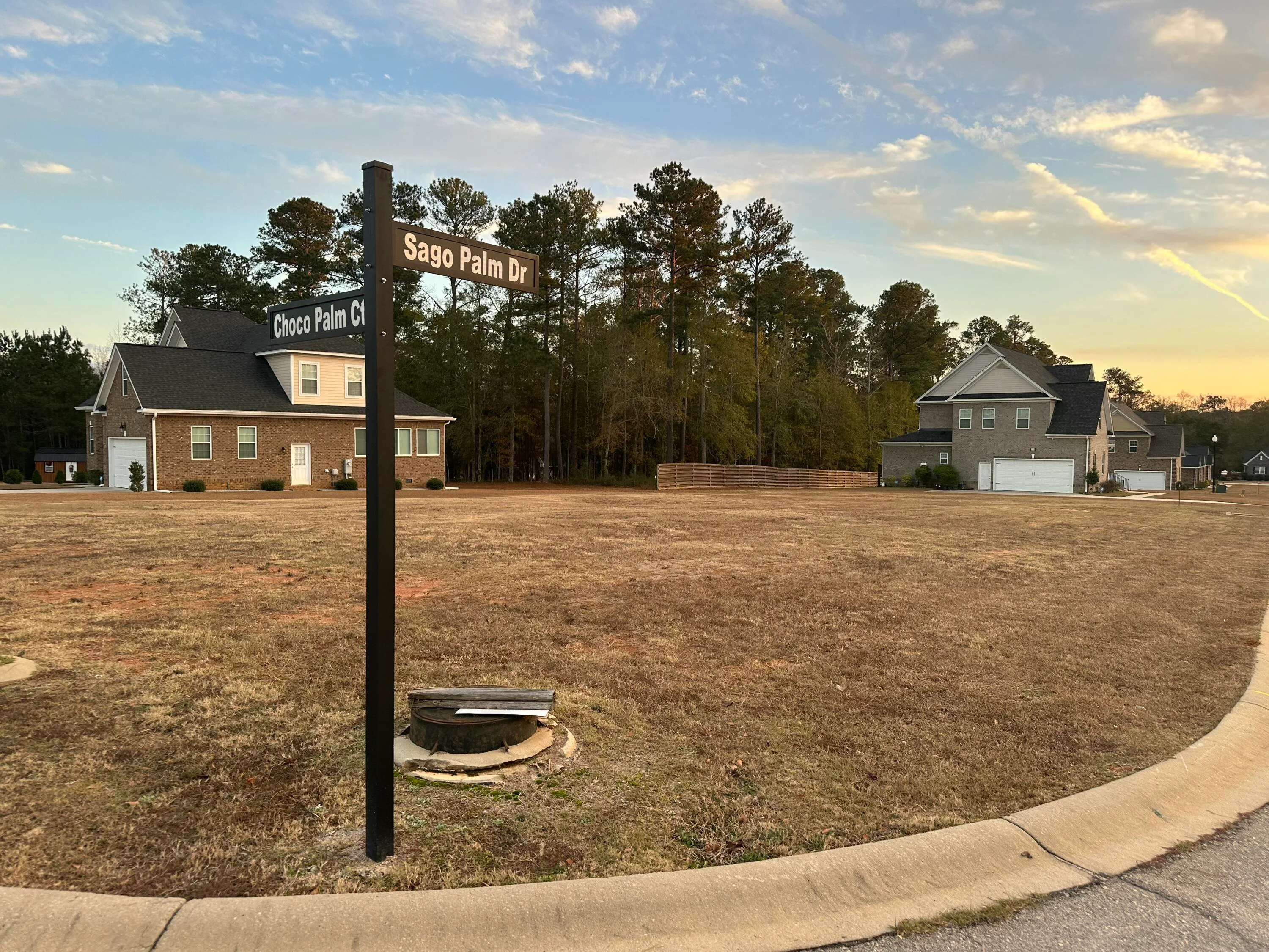 201 Sago Palm Drive