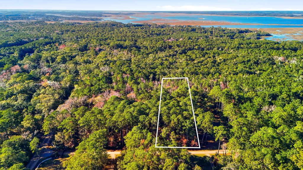 Photo of 7783 Chaplin Garden Lane, Edisto Island, SC 29438 (MLS # 25032372)