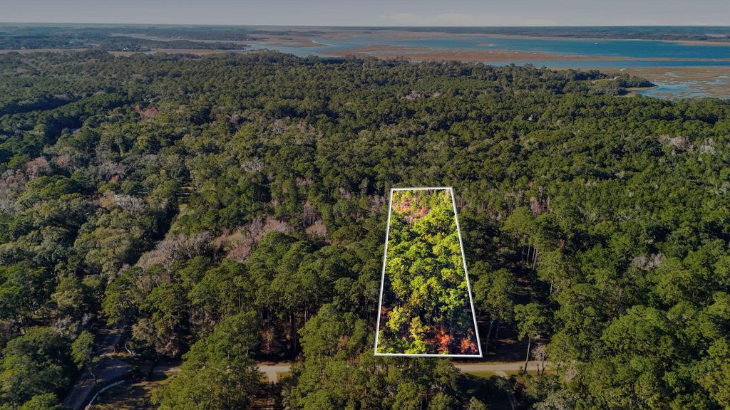 Photo of 7783 Chaplin Garden Lane, Edisto Island, SC 29438 (MLS # 25032372)