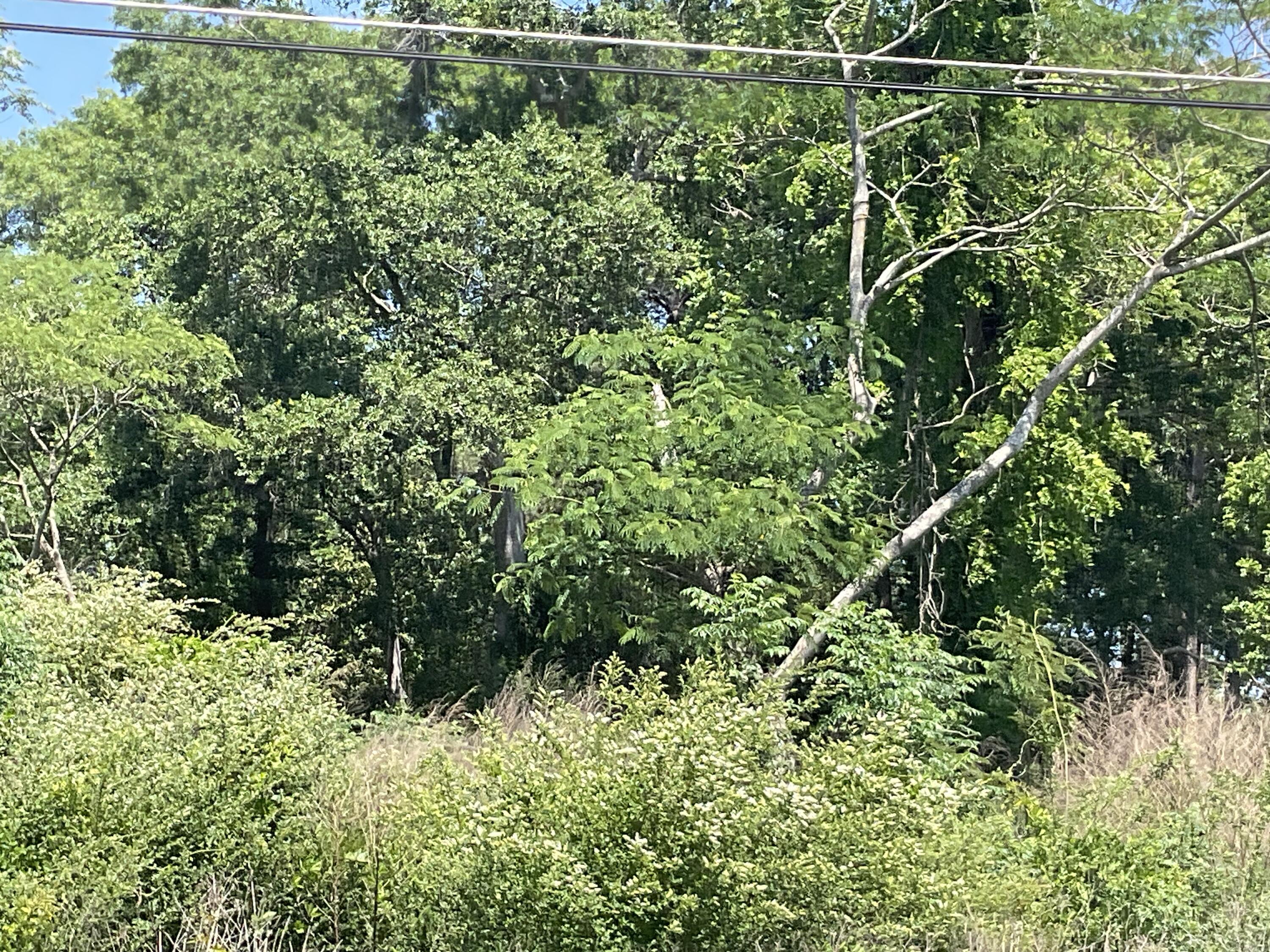 3494 Railroad Avenue