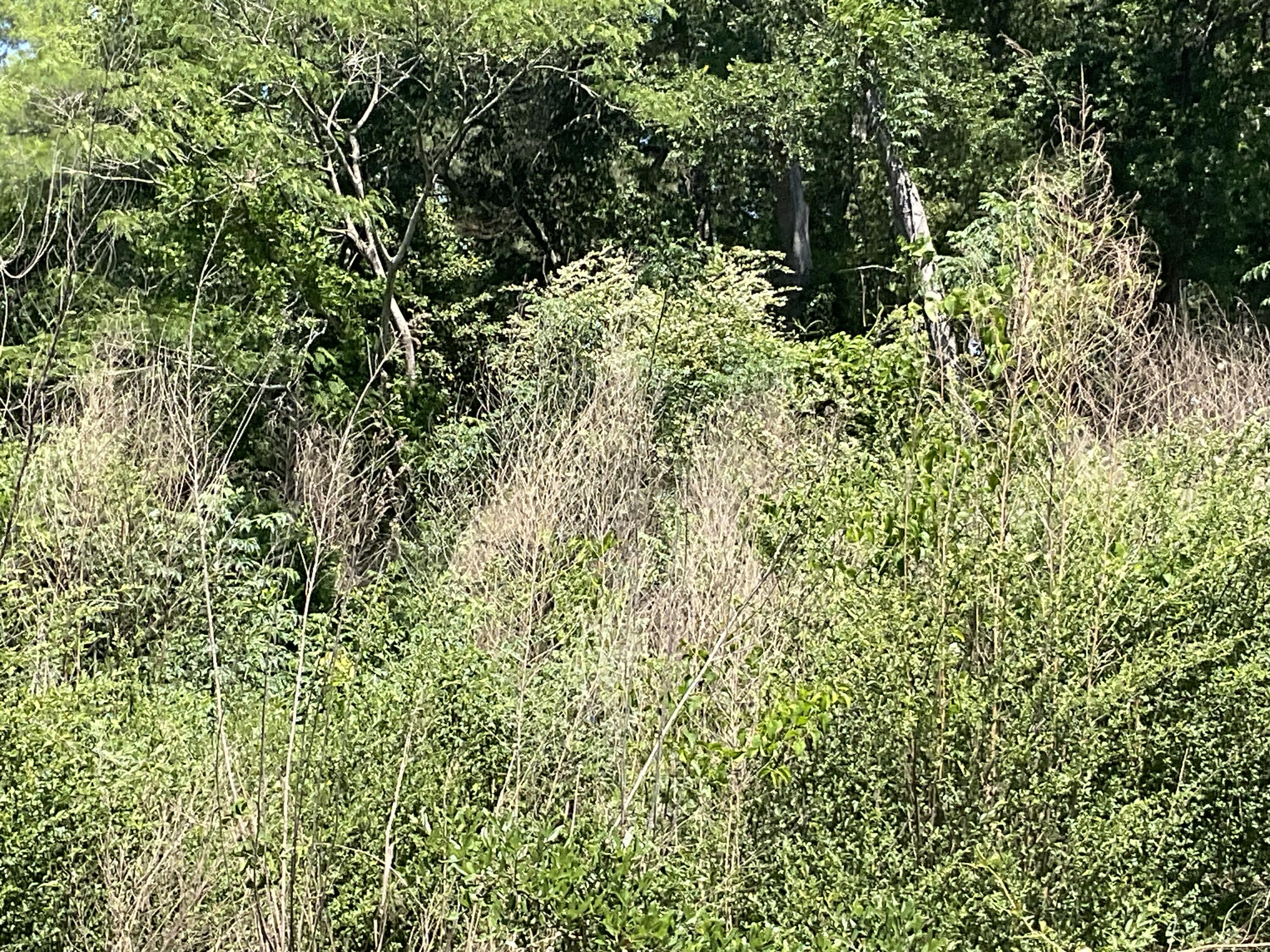 3494 Railroad Avenue