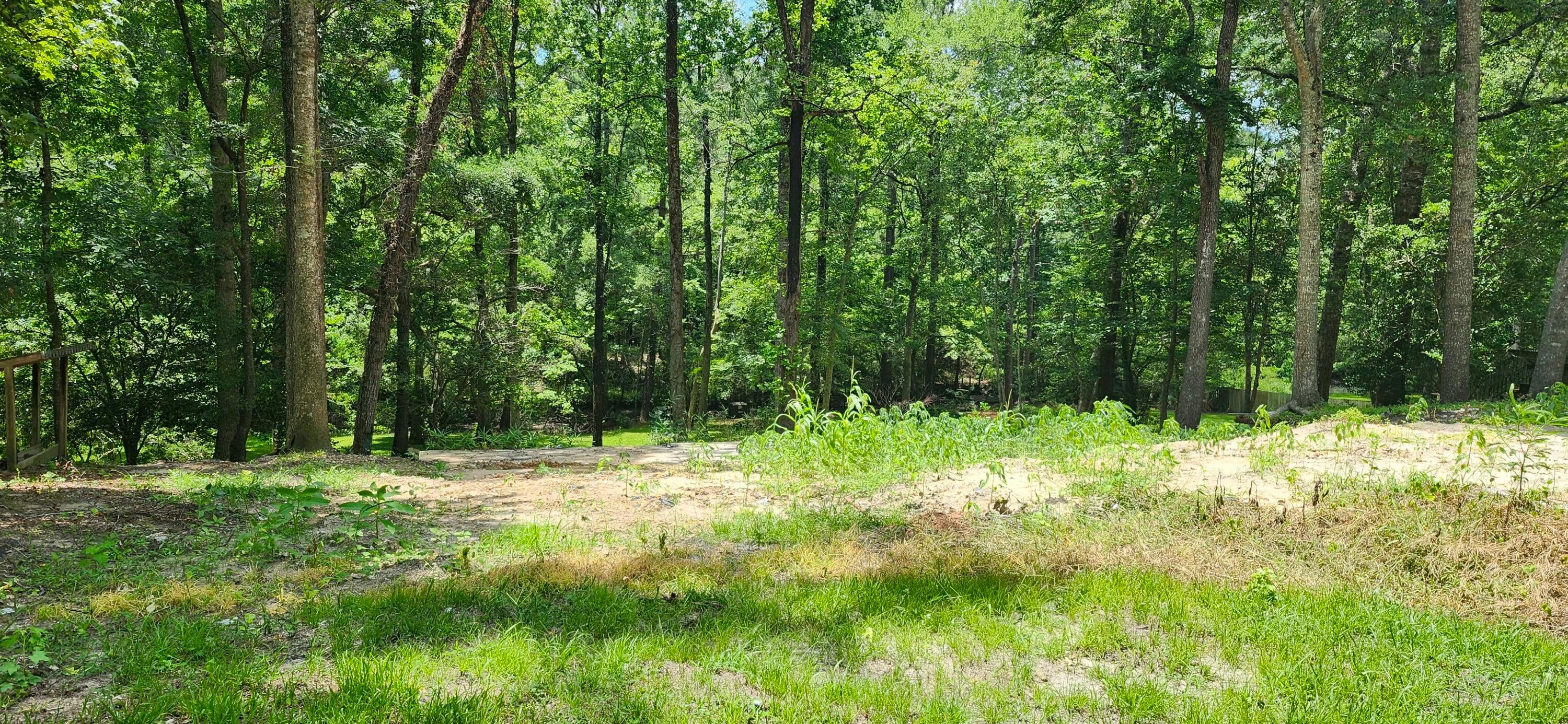 113 Hampton Drive