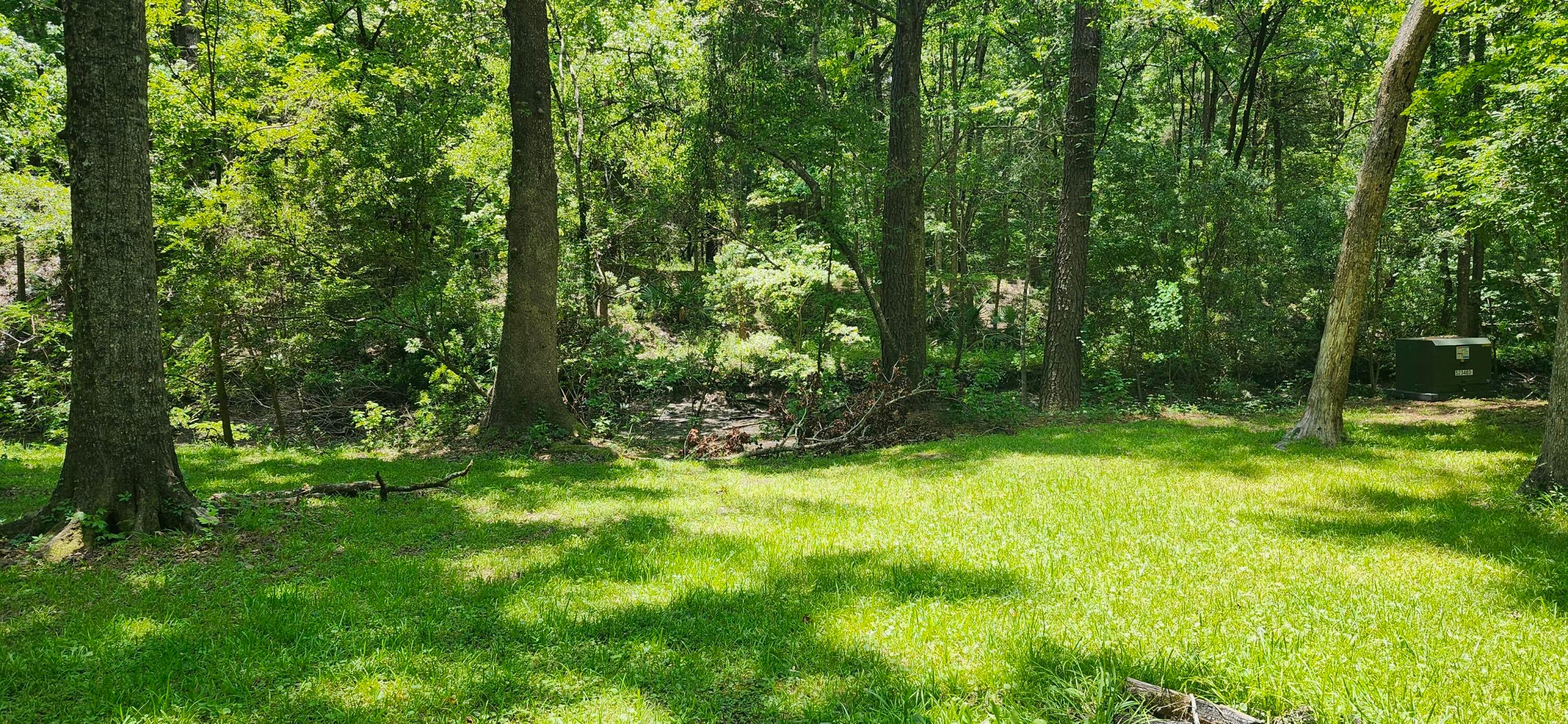 113 Hampton Drive