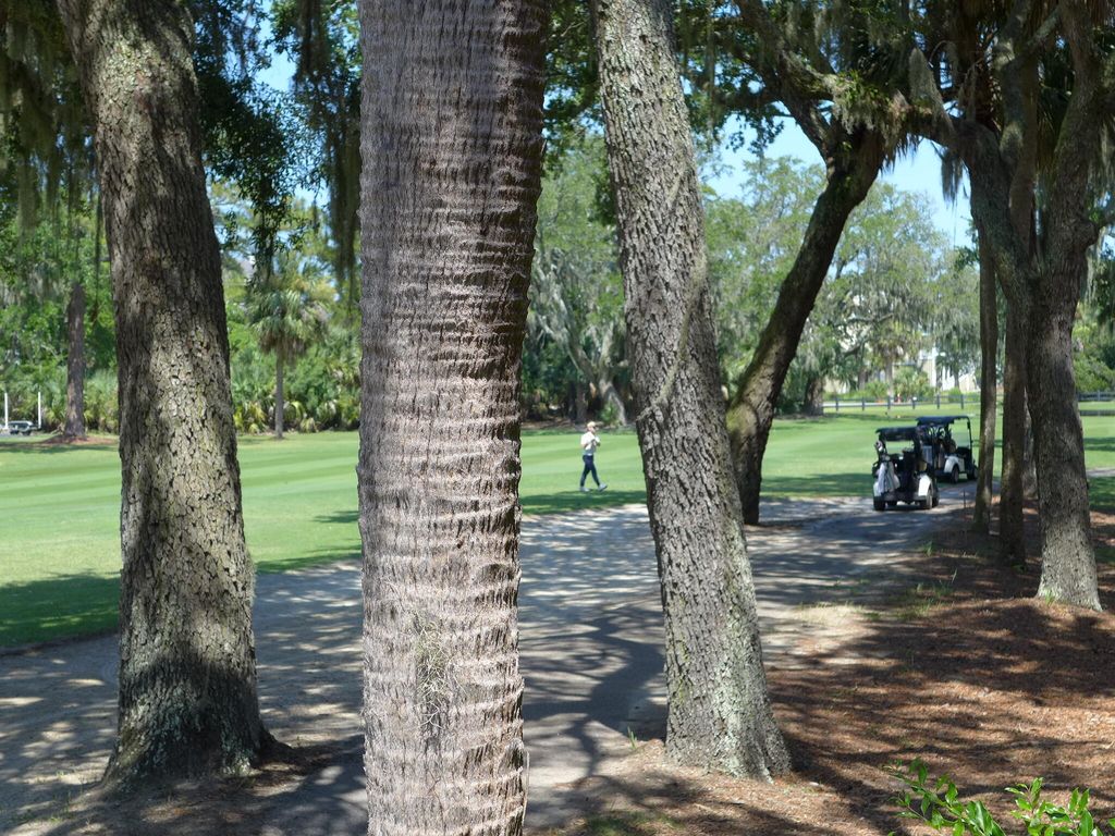 Photo of 258 Driftwood Lane, Edisto Island, SC 29438 (MLS # 26004617)