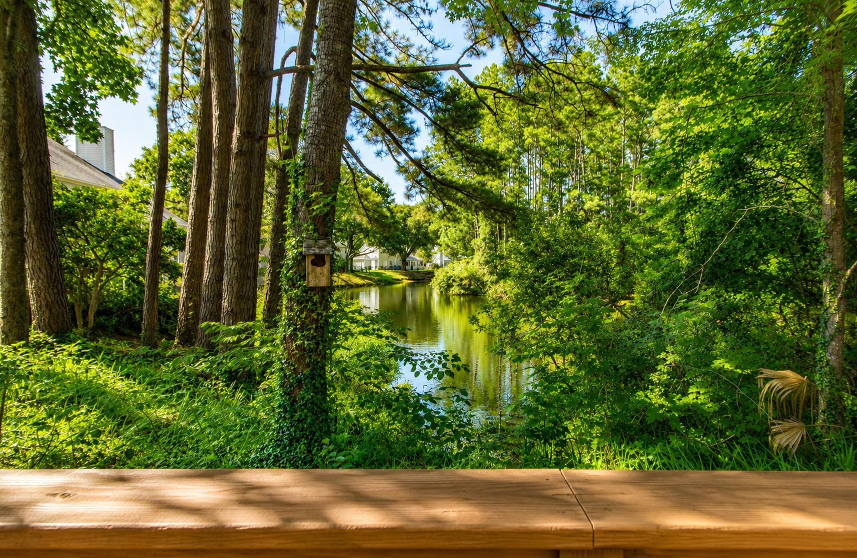 1281 Horseshoe Bend