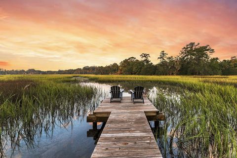 Photo of 7262 Toogoodoo Road, Meggett, SC 29449 (MLS # 25026488)