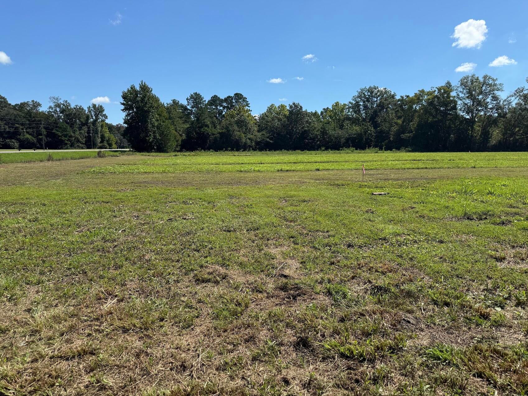 15844 Ace Basin (Lot #3) Parkway