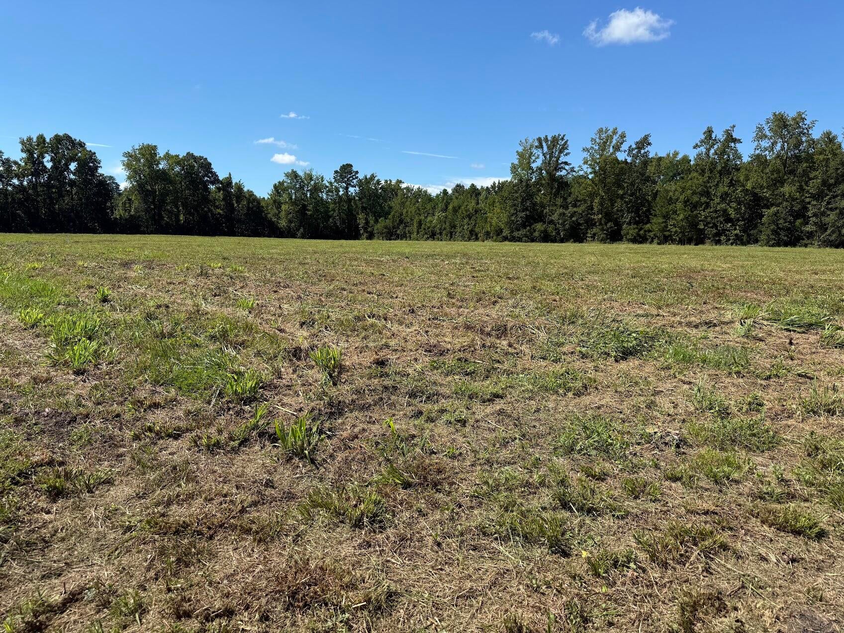 15844 Ace Basin (Lot #3) Parkway