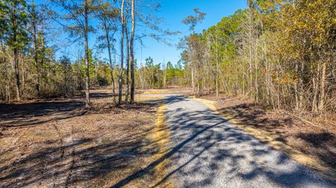 0 Yaremich Rd Lot 1 Moncks Corner SC 29461