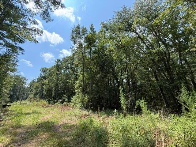 0000 Log Cabin Lane