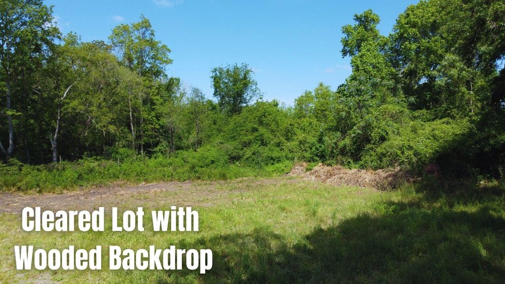 Photo of 3249 Ben Watson Court, Charleston, SC 29412 (MLS # 26011201)