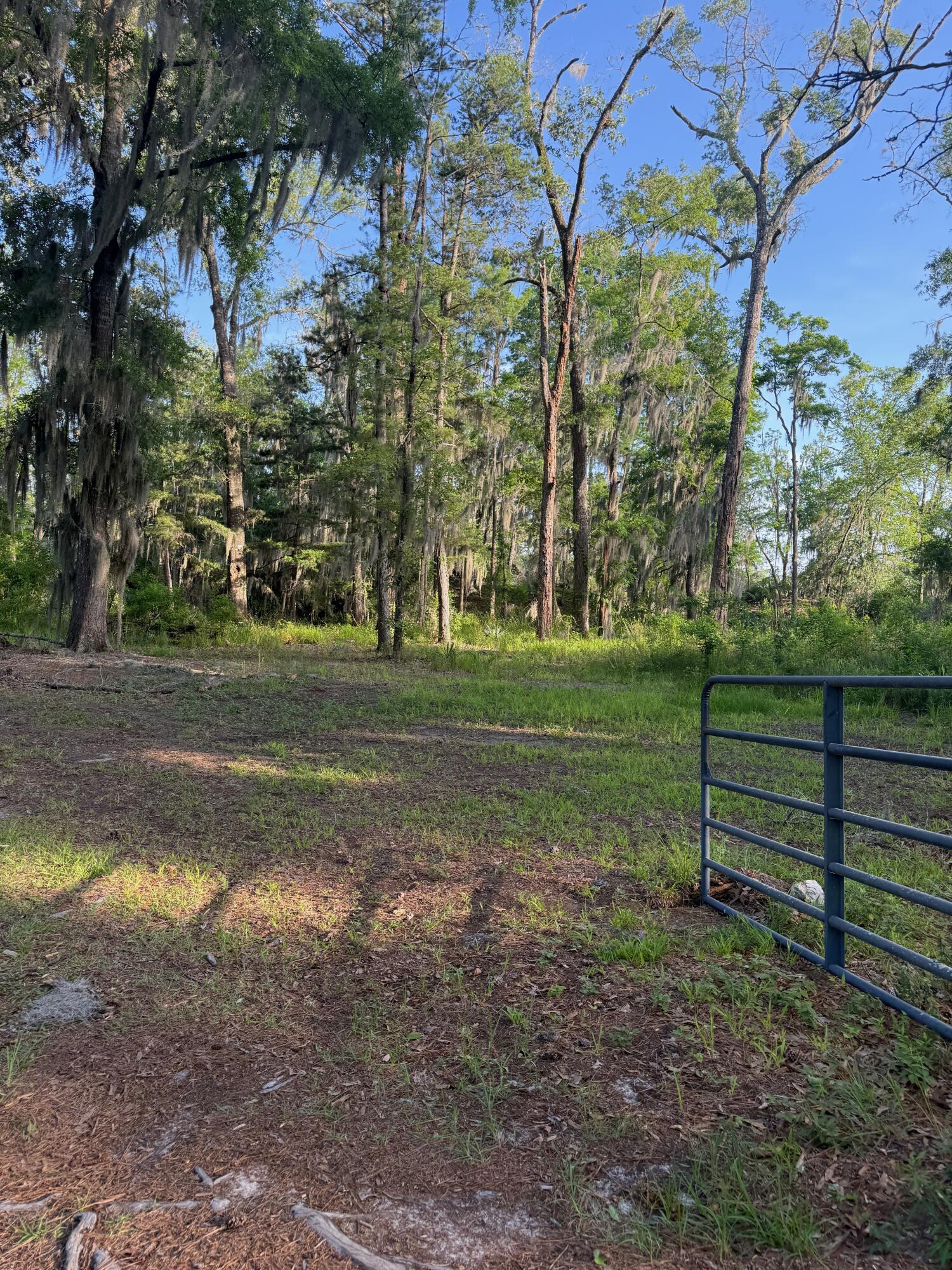 3637 Prices Bridge Lane