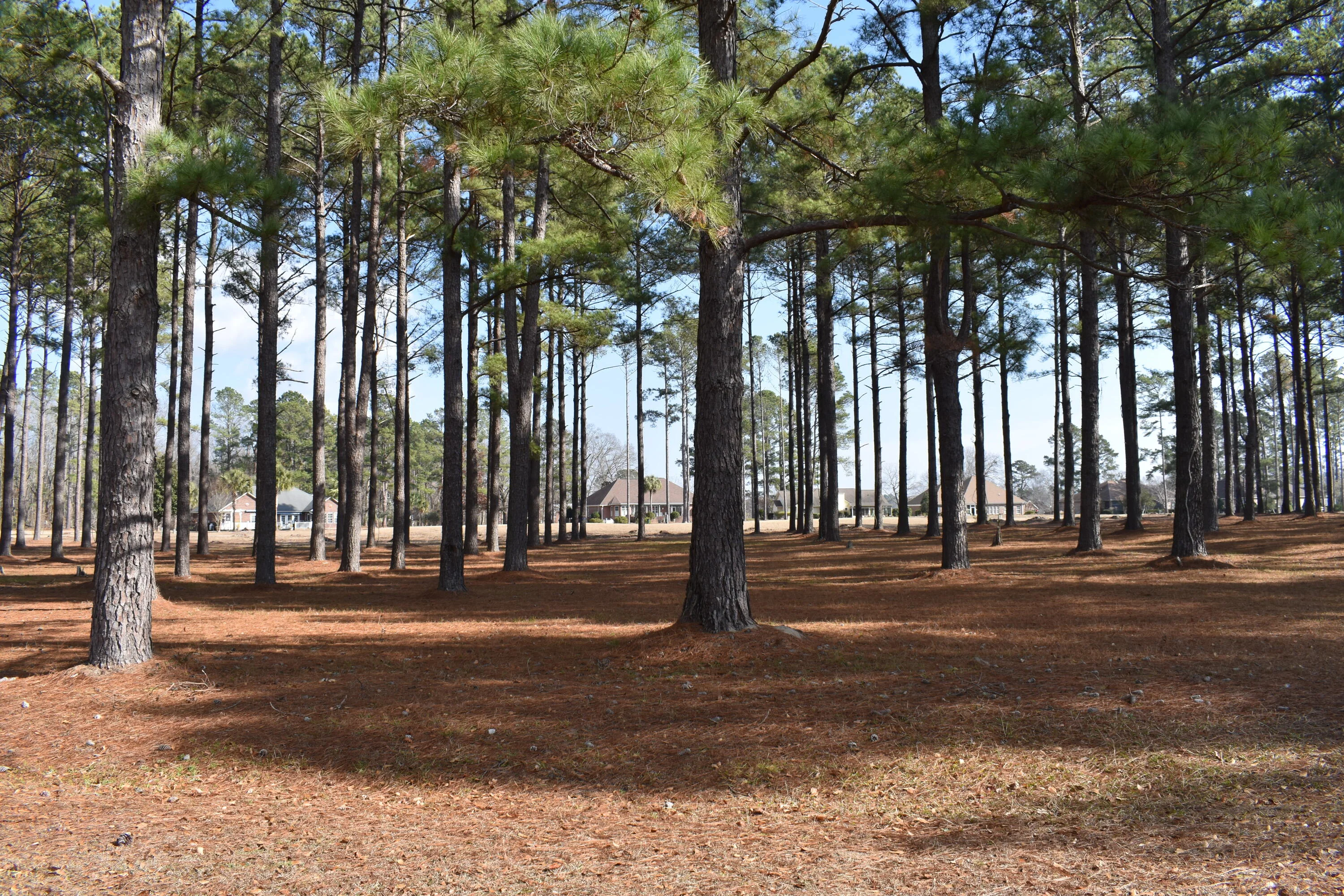 400 Pine Lake Court