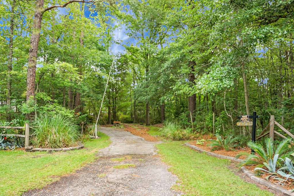 Photo of 427 Grape Arbor Drive, Summerville, SC 29486 (MLS # 25031716)