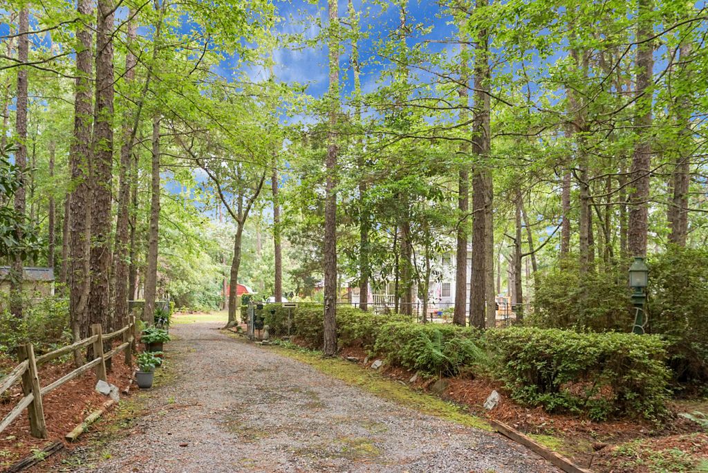 Photo of 427 Grape Arbor Drive, Summerville, SC 29486 (MLS # 25031716)