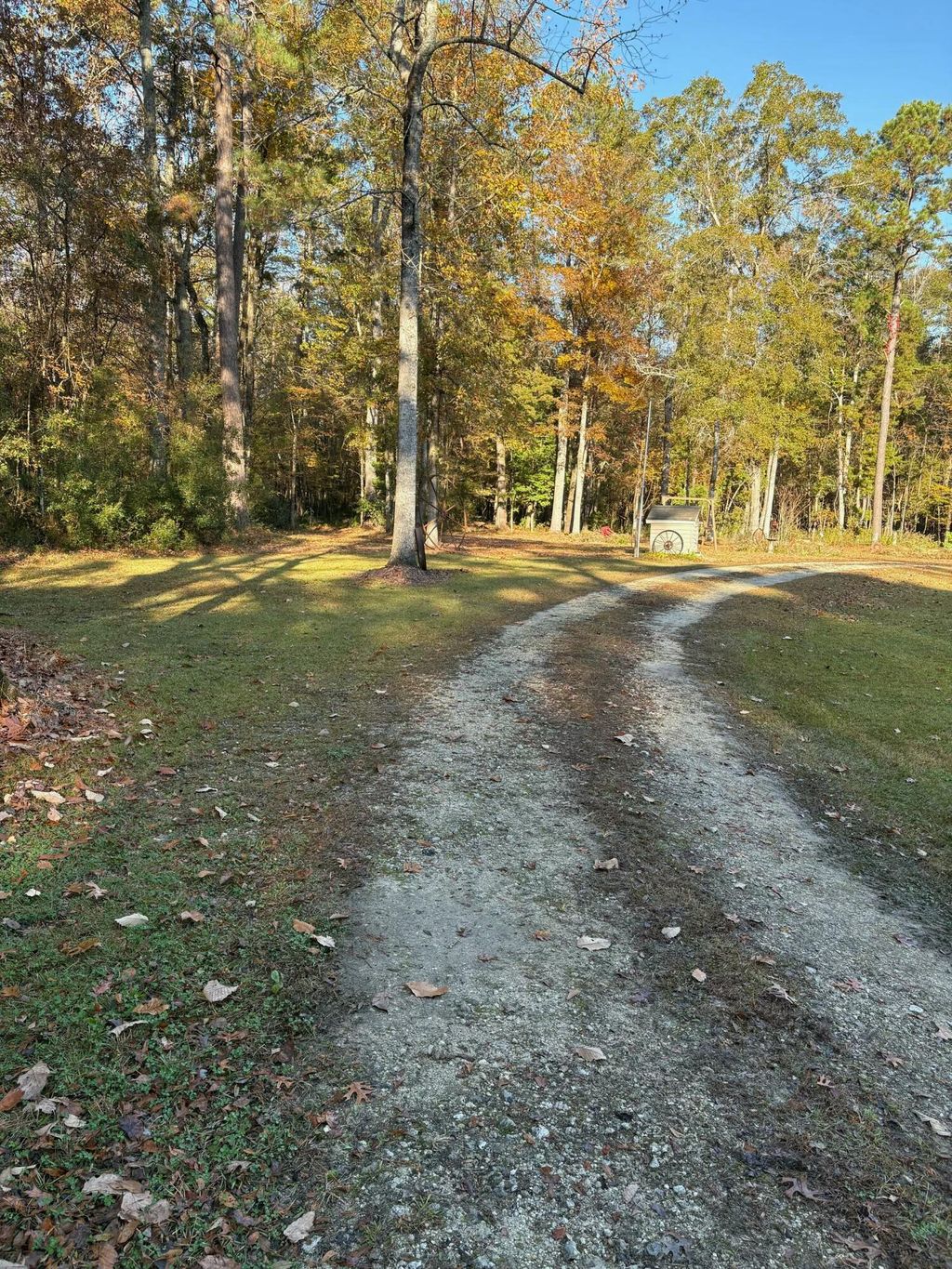 Photo of 334 Shoptaw Road, Holly Hill, SC 29059 (MLS # 25032145)