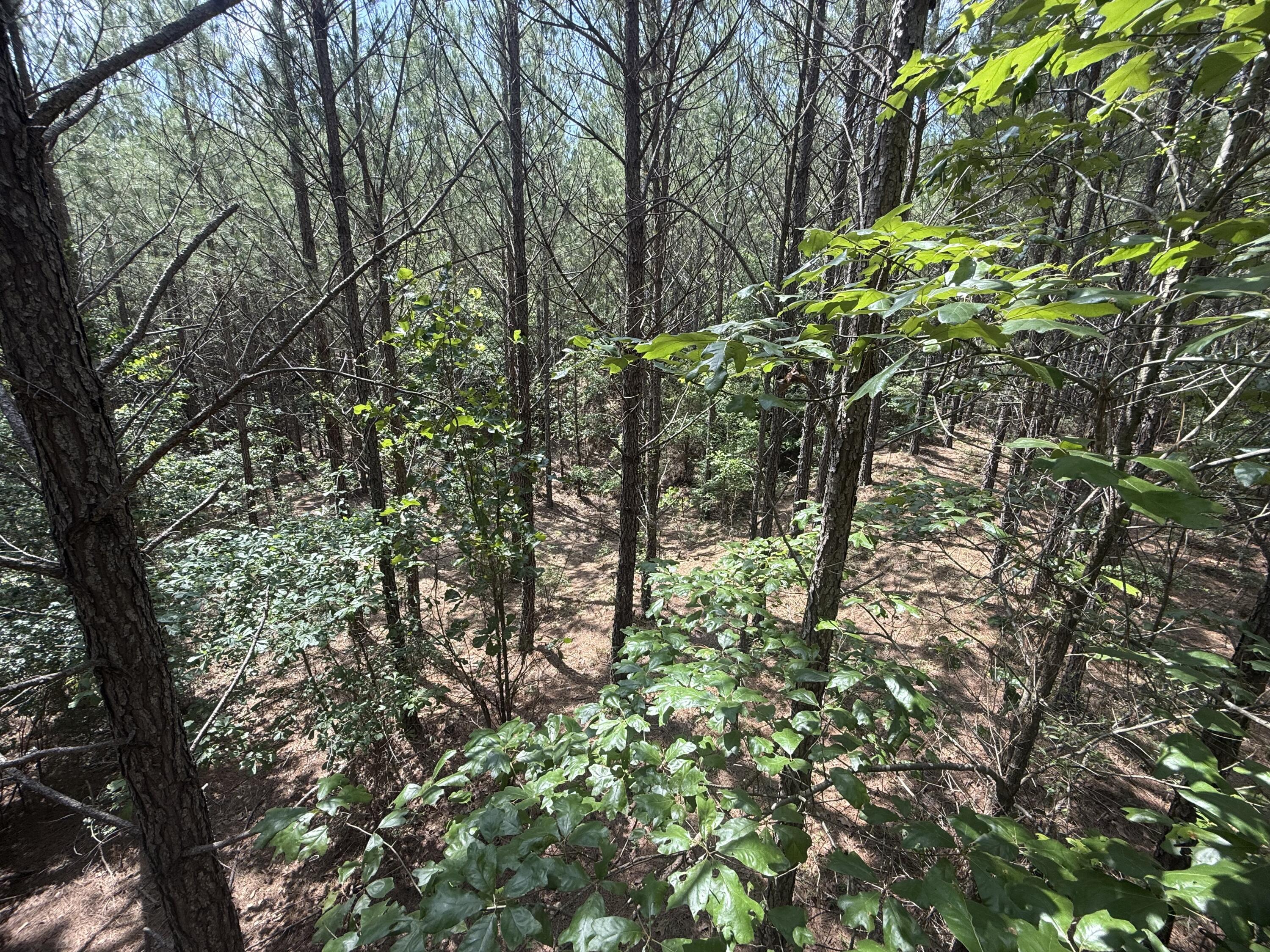 Hhf 6 Hickory Head Road Hhf6