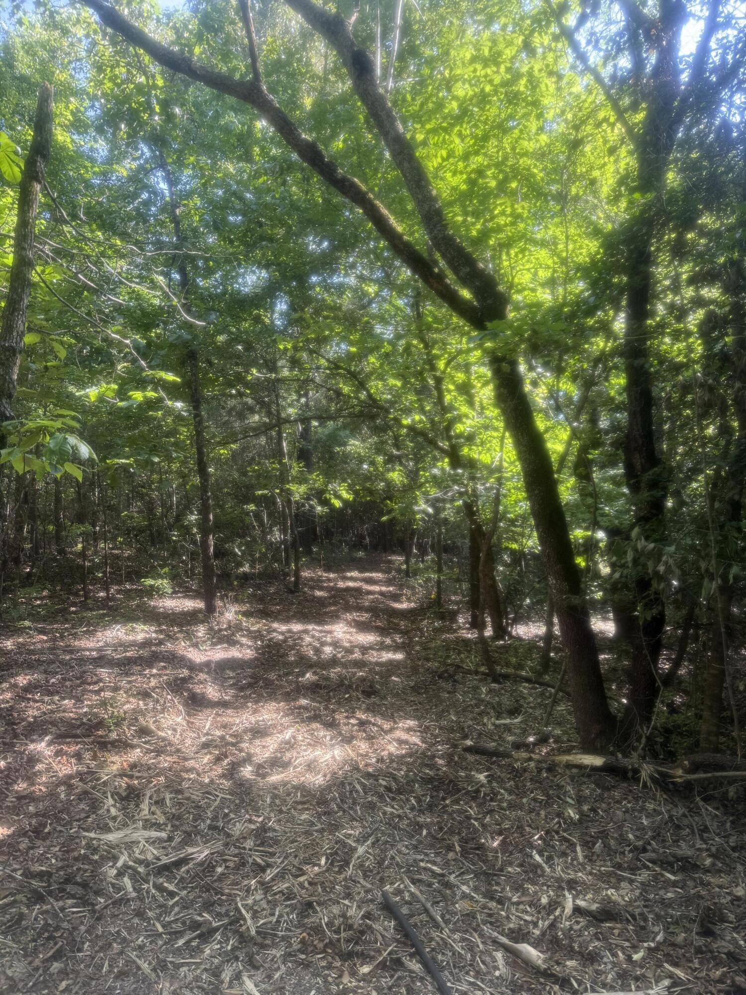 Hhf 6 Hickory Head Road Hhf6