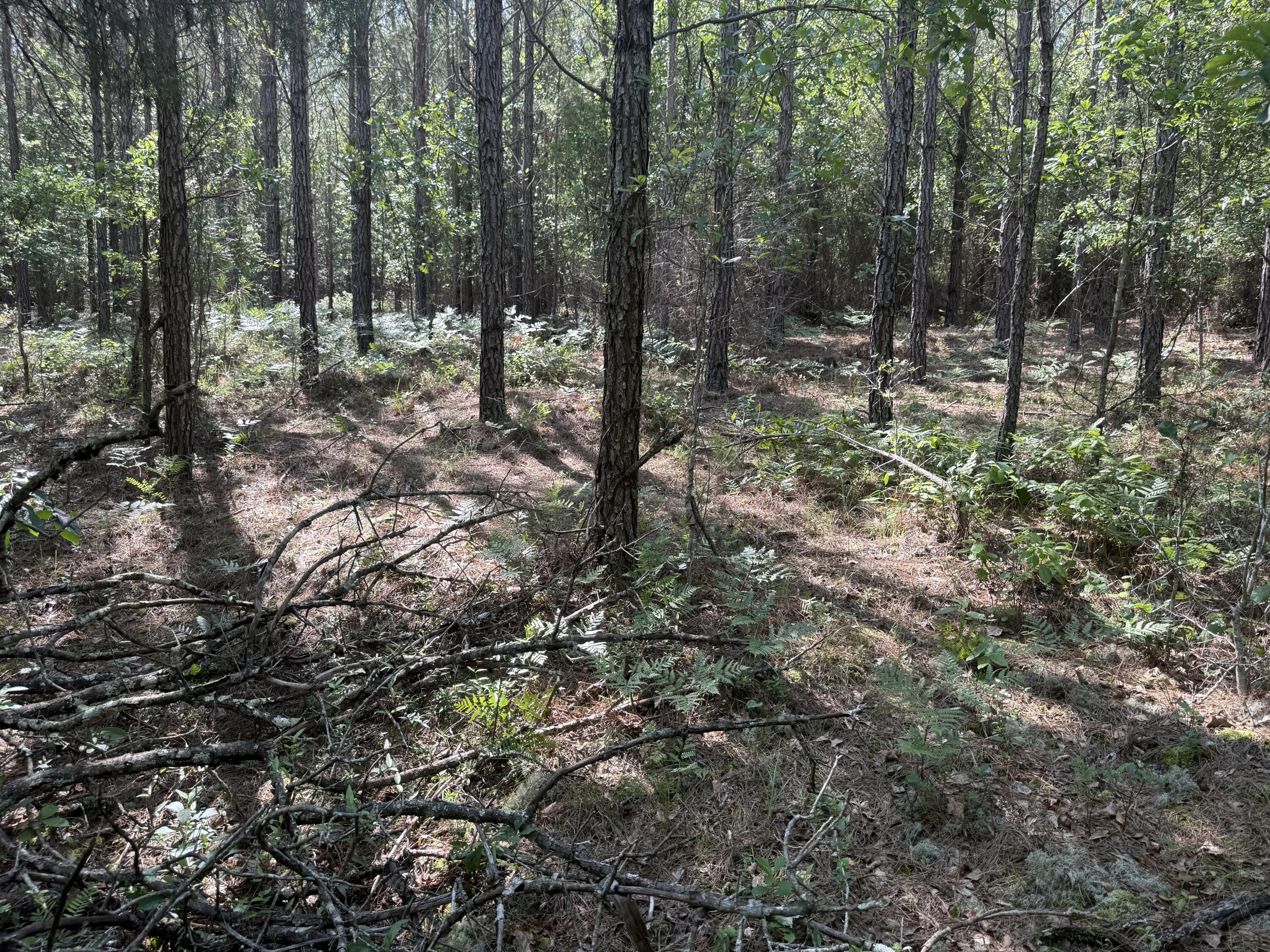Hhf 6 Hickory Head Road Hhf6