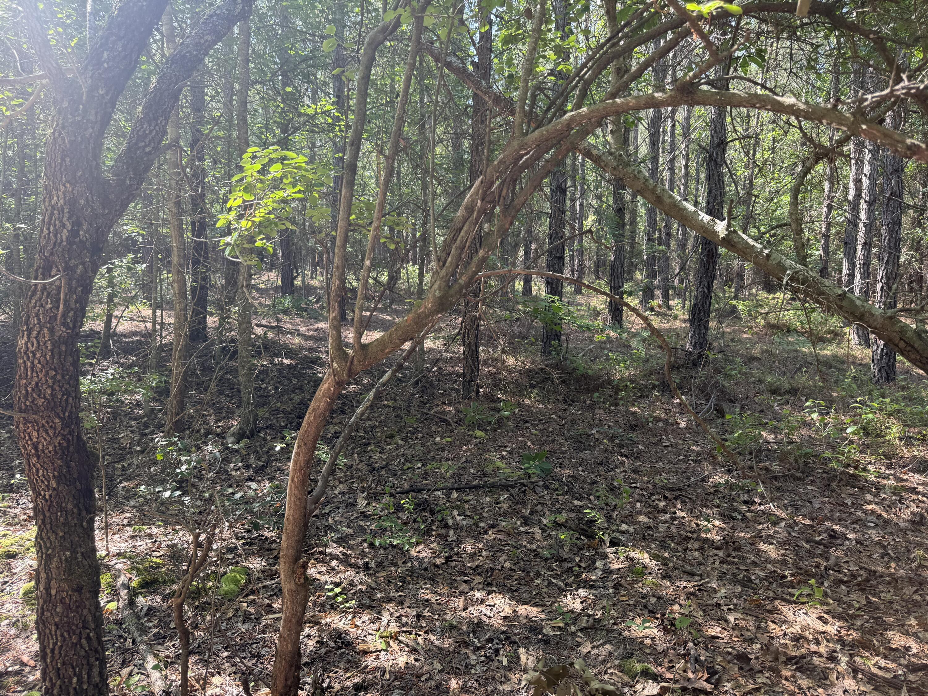 Hhf 6 Hickory Head Road Hhf6