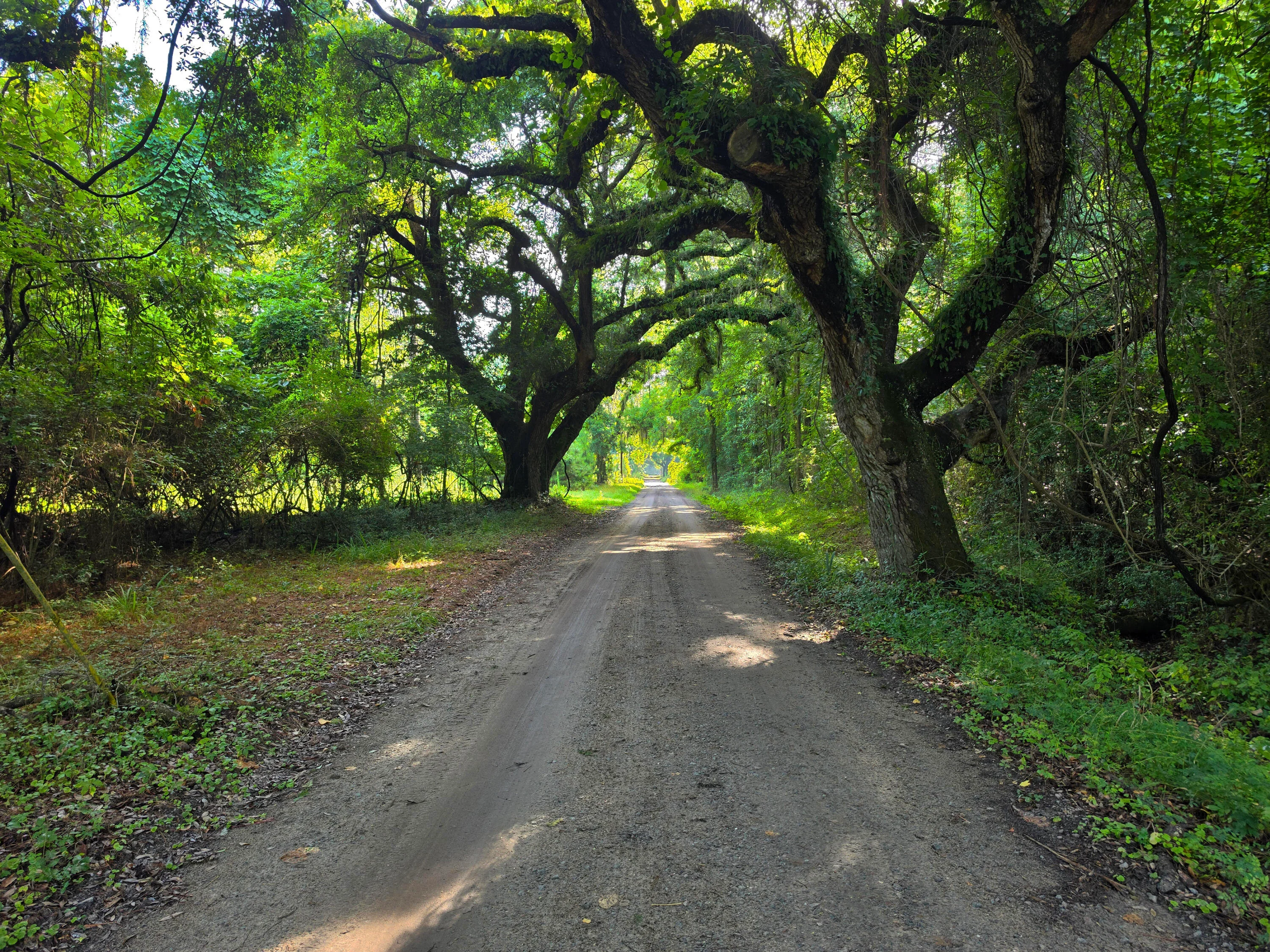 328 Drayton Street, Mcclellanville, SC, 29458