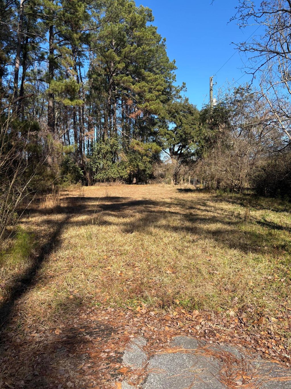 Photo of 308 Peachtree Road, Walterboro, SC 29488 (MLS # 26003029)