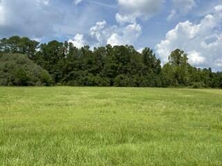 Photo of 0 Starline Drive, Summerville, SC 29486 (MLS # 26023968)