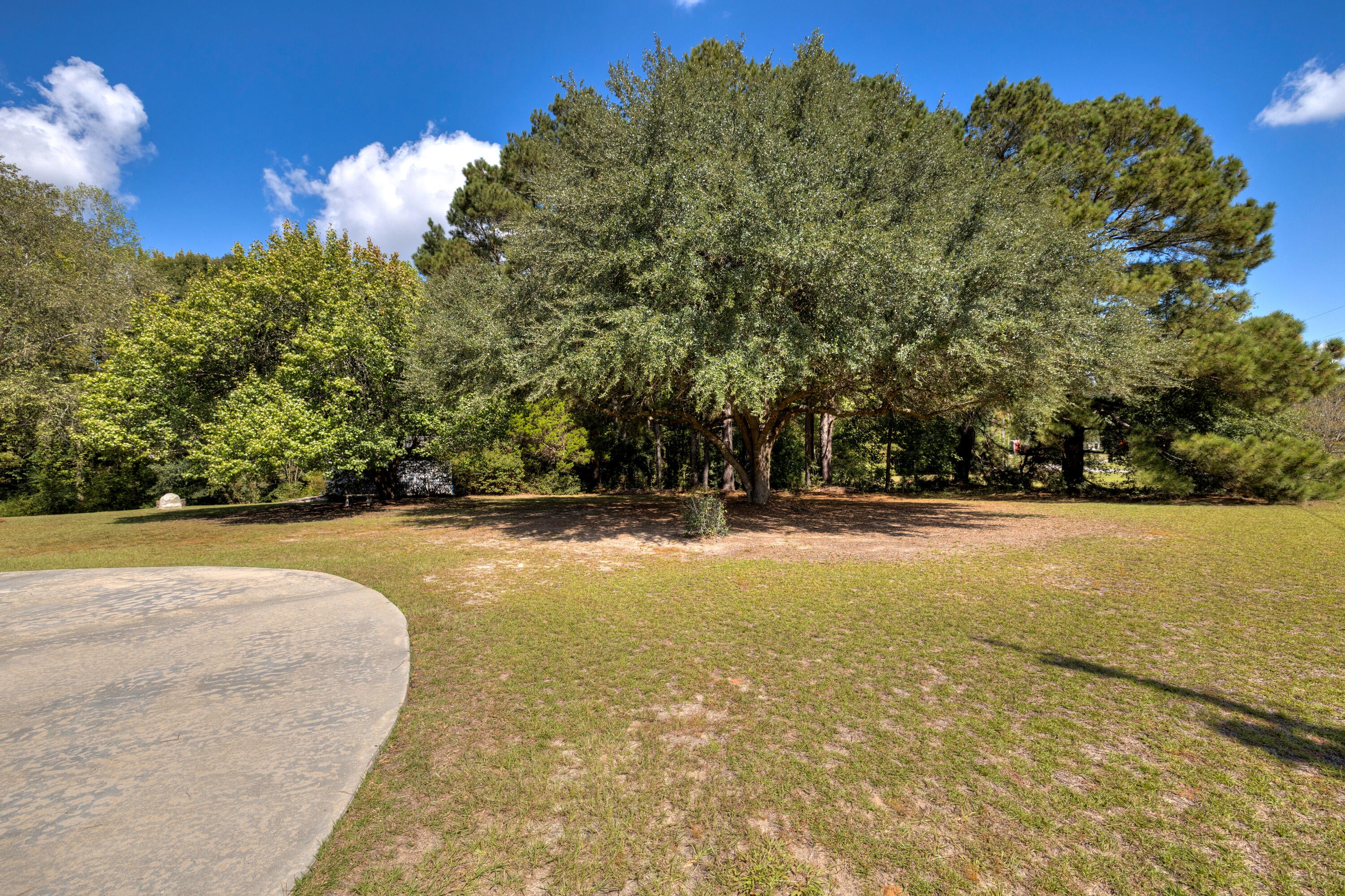 1435 Peggy Lane