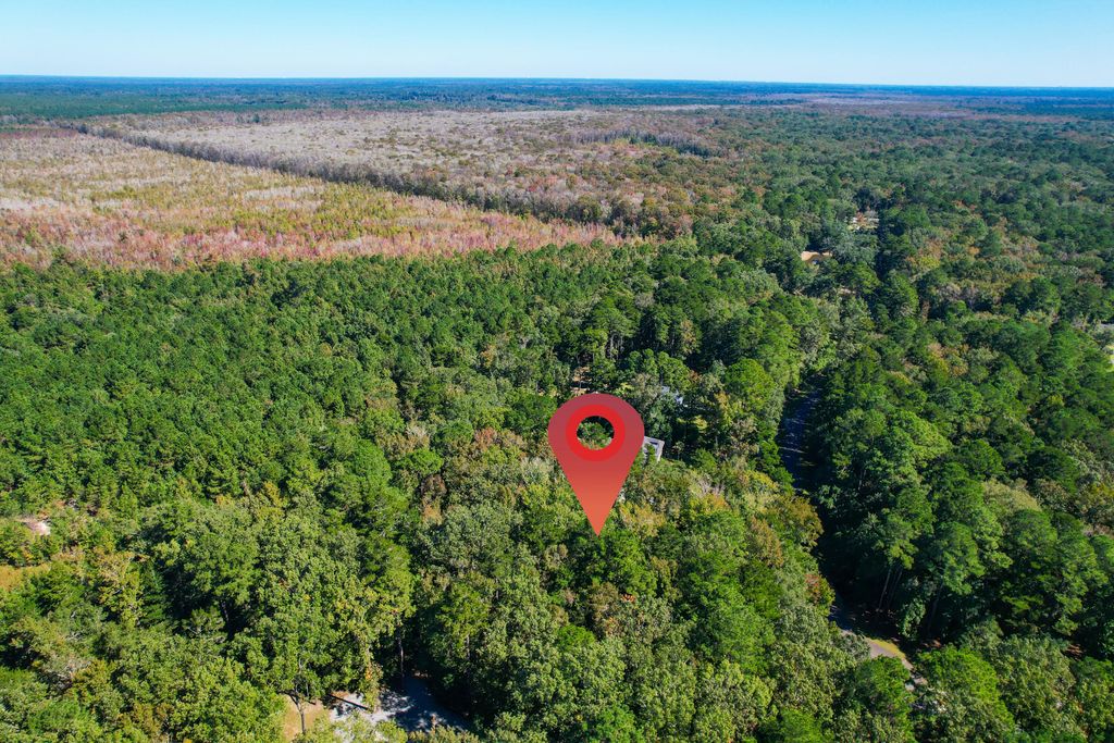 Photo of 6682 Pepper Grass Trail, Ravenel, SC 29470 (MLS # 25029005)