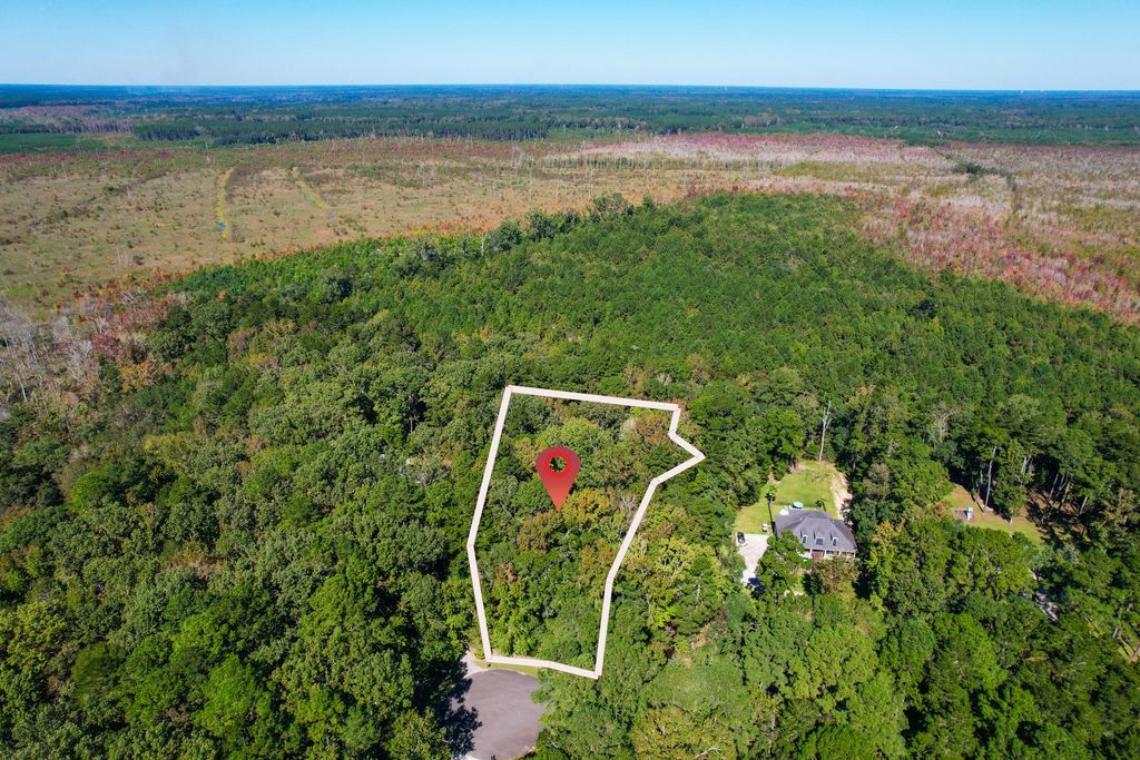 Photo of 6682 Pepper Grass Trail, Ravenel, SC 29470 (MLS # 25029005)