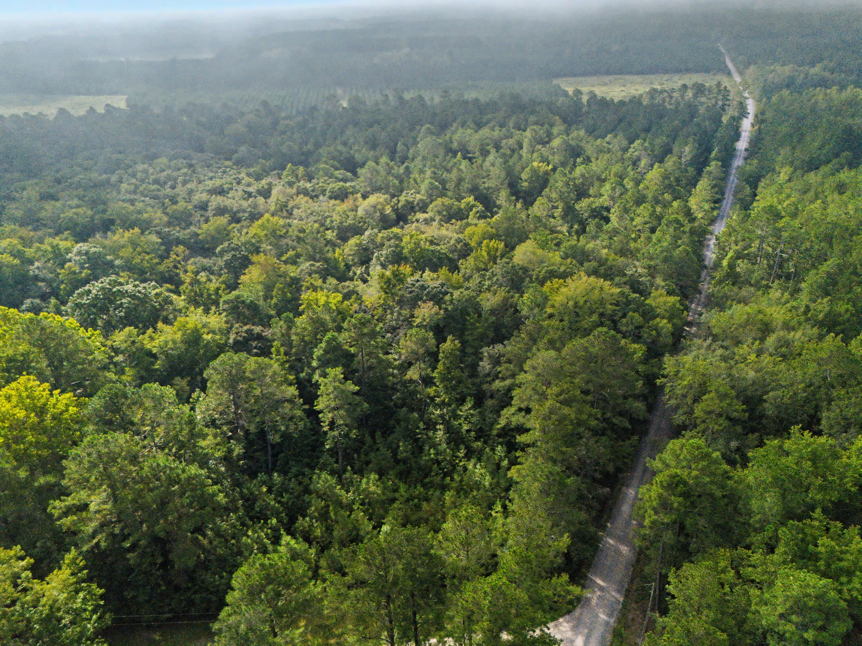 0 Tree Farm Road