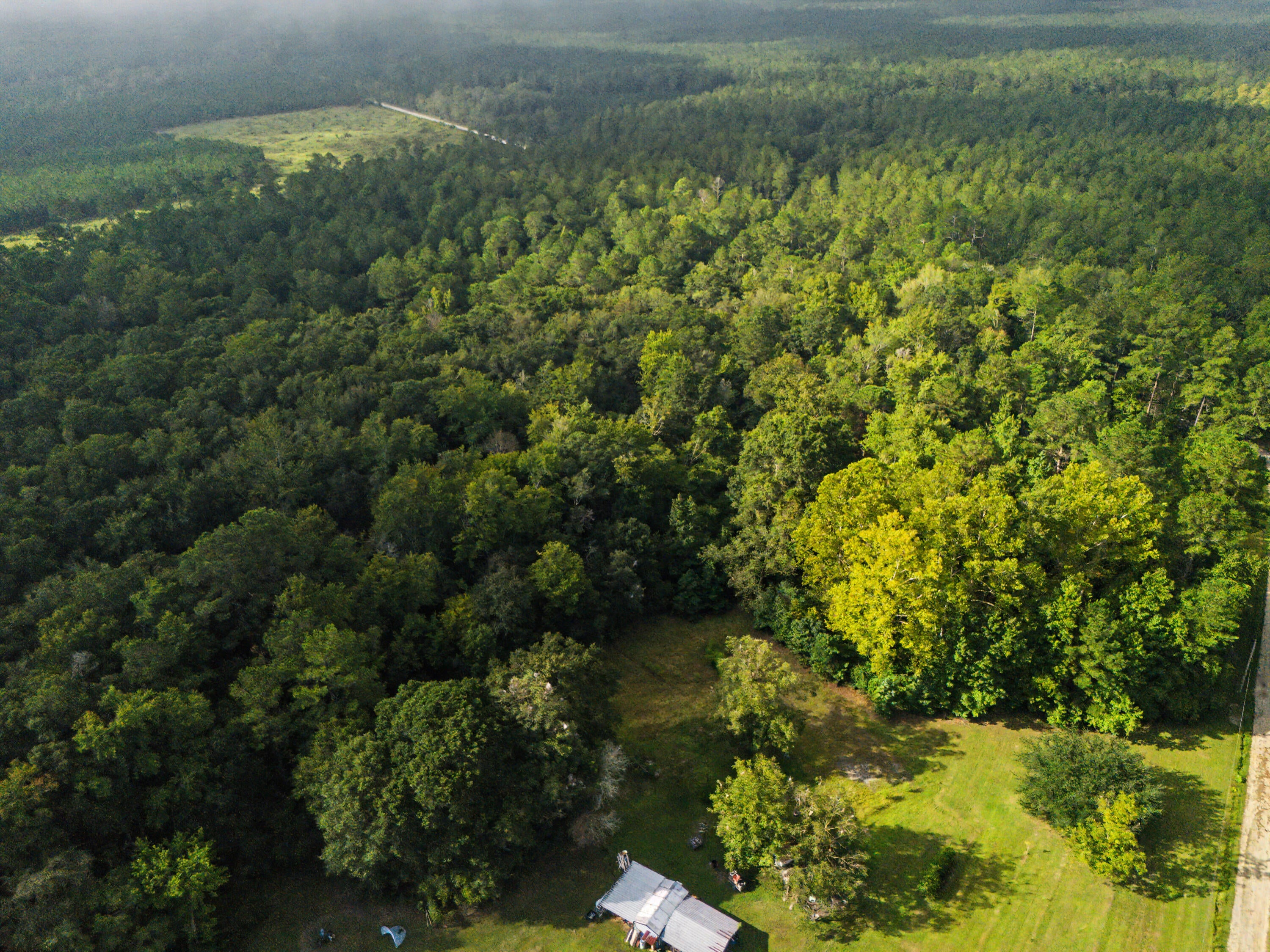 0 Tree Farm Road